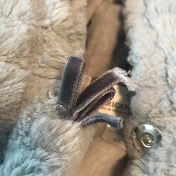 American Widgeon - Picture 6 of 6